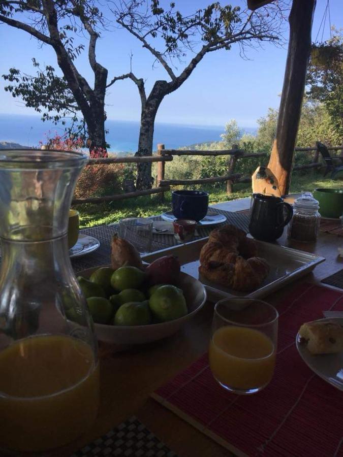 مبيت وإفطار Tortorella Masseria Cata Catascia المظهر الخارجي الصورة