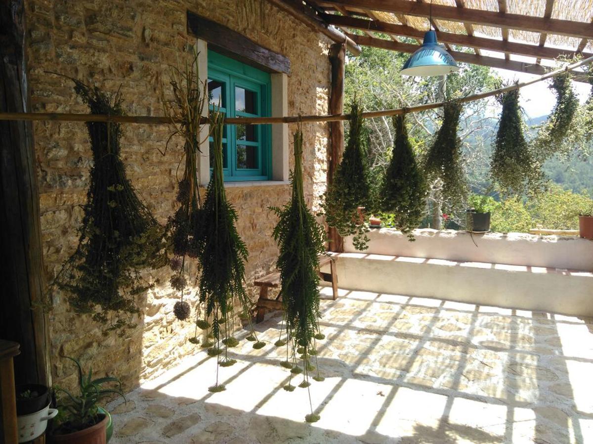 مبيت وإفطار Tortorella Masseria Cata Catascia المظهر الخارجي الصورة